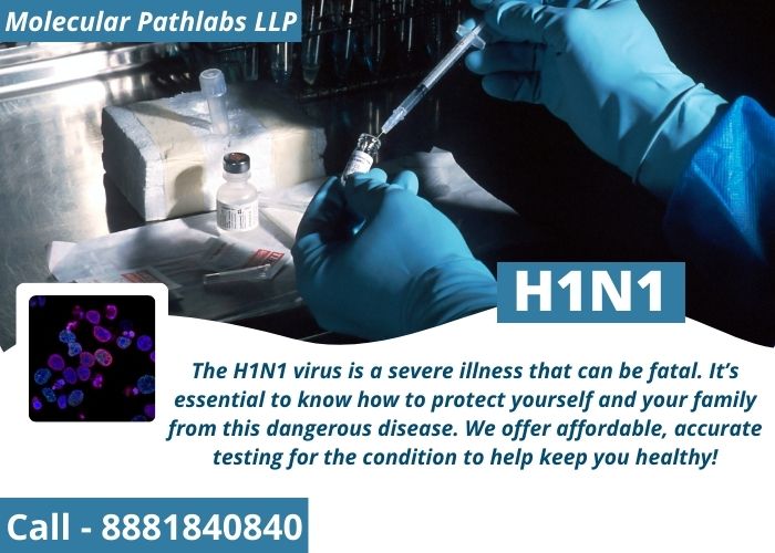H1N1 (2)